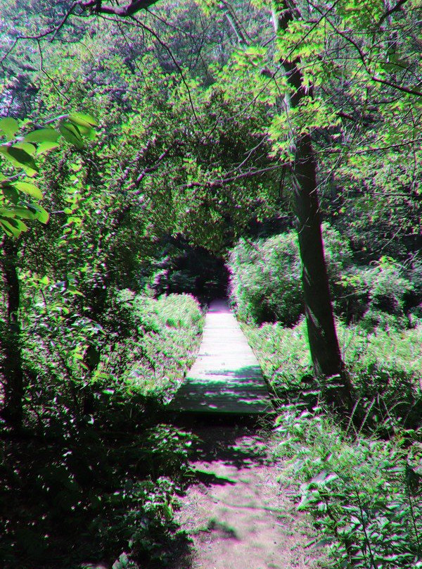 St. Johns Conservation Area-Thorold必去景点