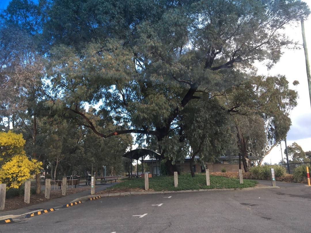 Greythorn Park景点图片