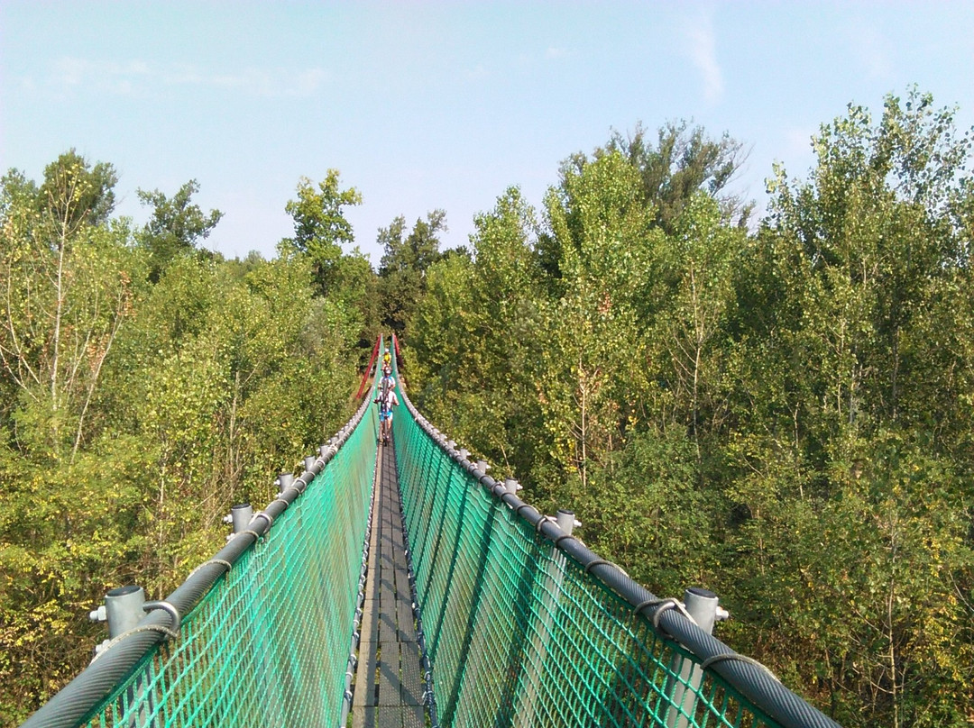 Ponte Tibetano景点图片