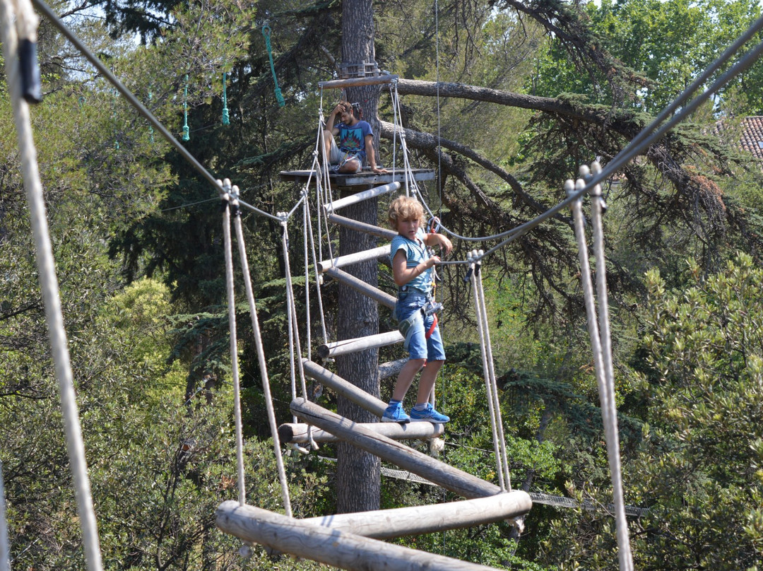 Ecopark Adventures-马赛必去景点