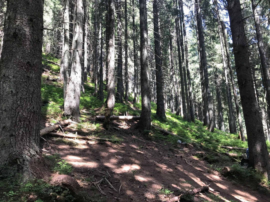 Carpathian National Nature Park-Yaremche必去景点