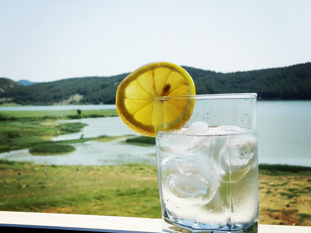 Kesan餐馆和美食-Coffee Table