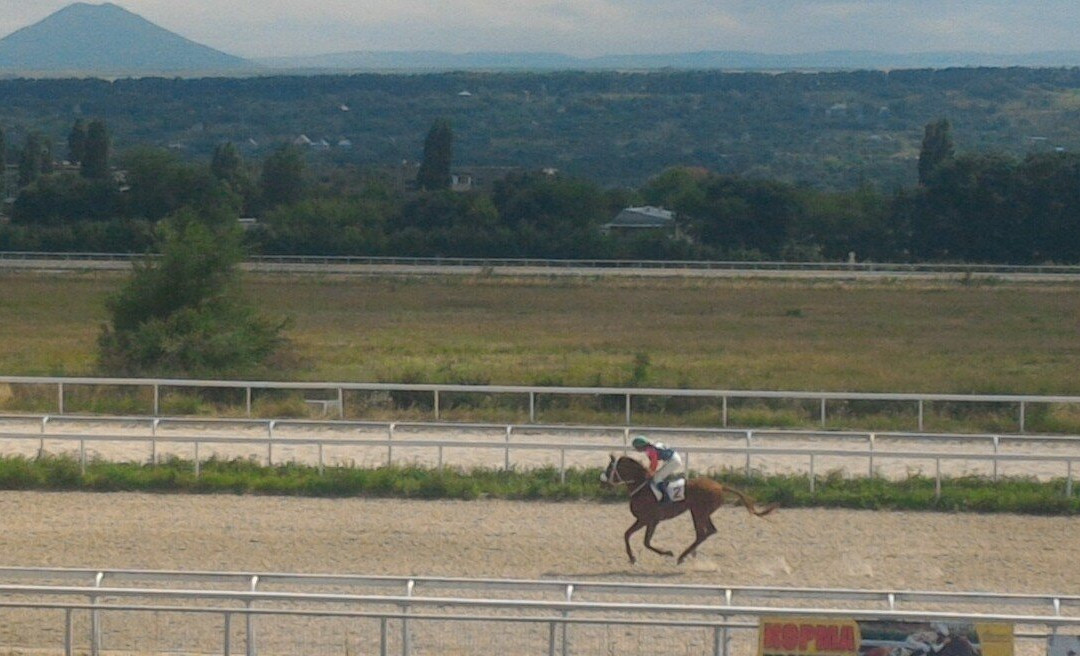 Pyatigorsk Hippodrome-Pyatigorsk必去景点