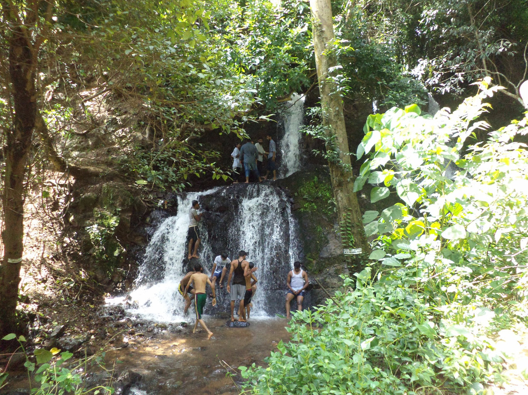 Adyar Waterfalls景点图片