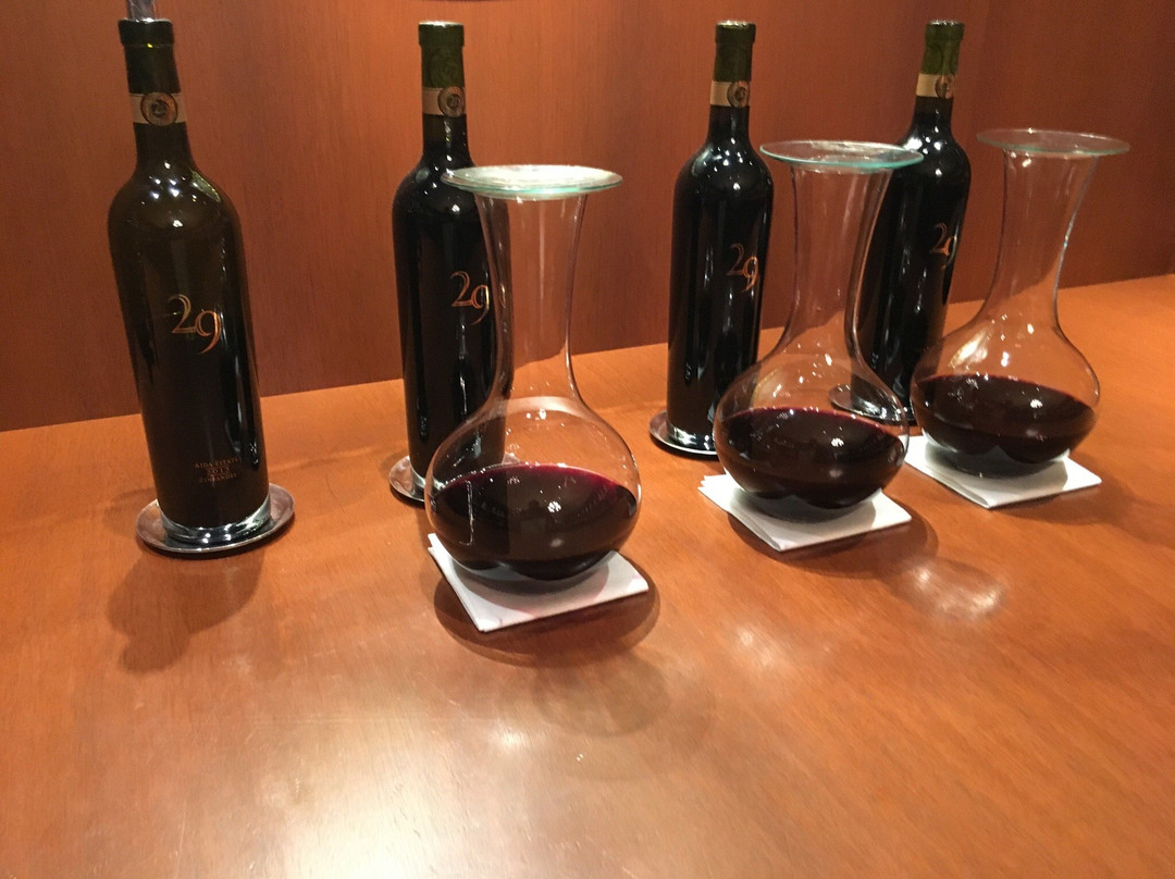 Vineyard 29景点图片