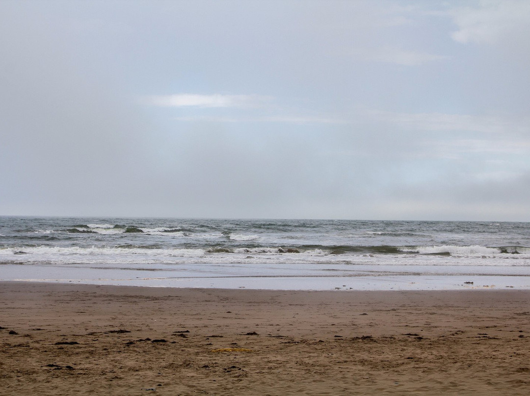 Conrad's Beach-Lawrencetown必去景点
