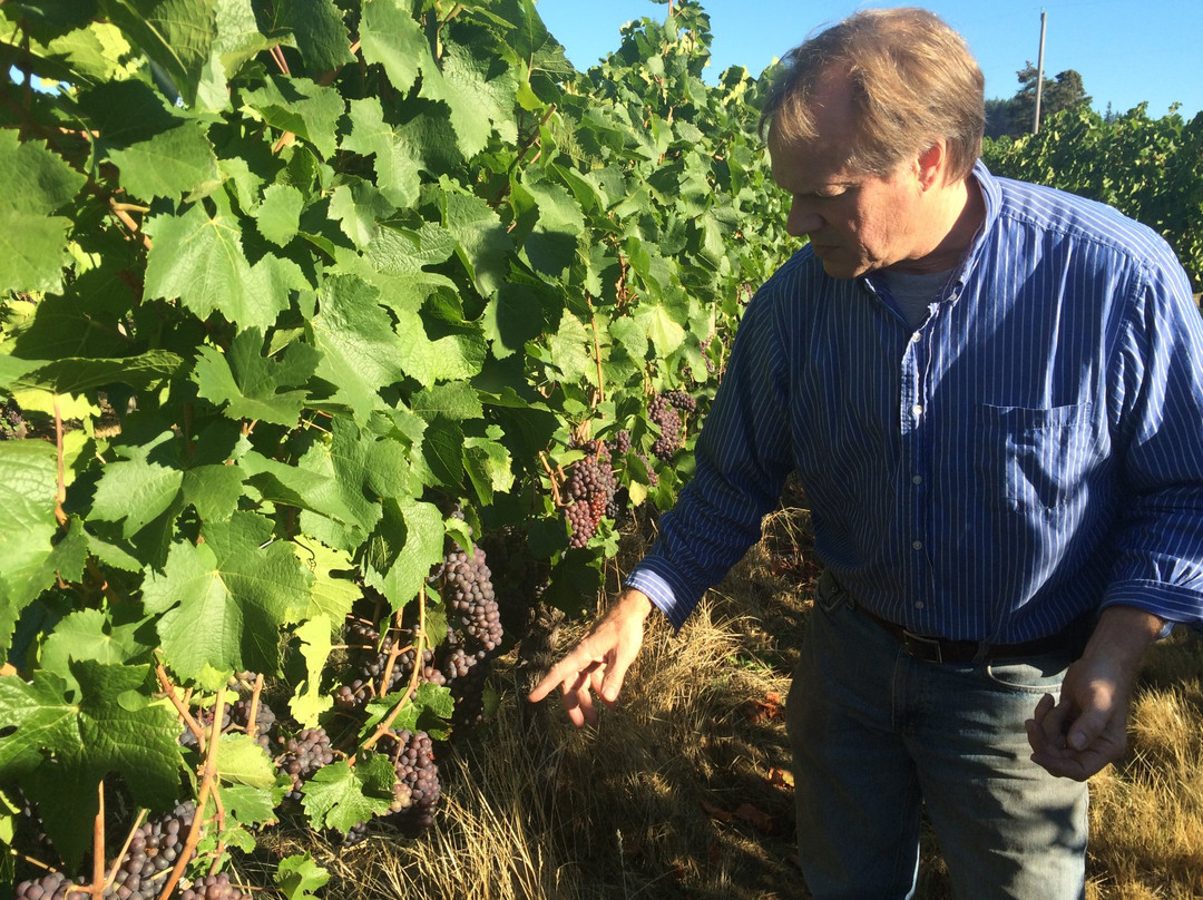 R Stuart & Co.-麦克明维尔必去景点