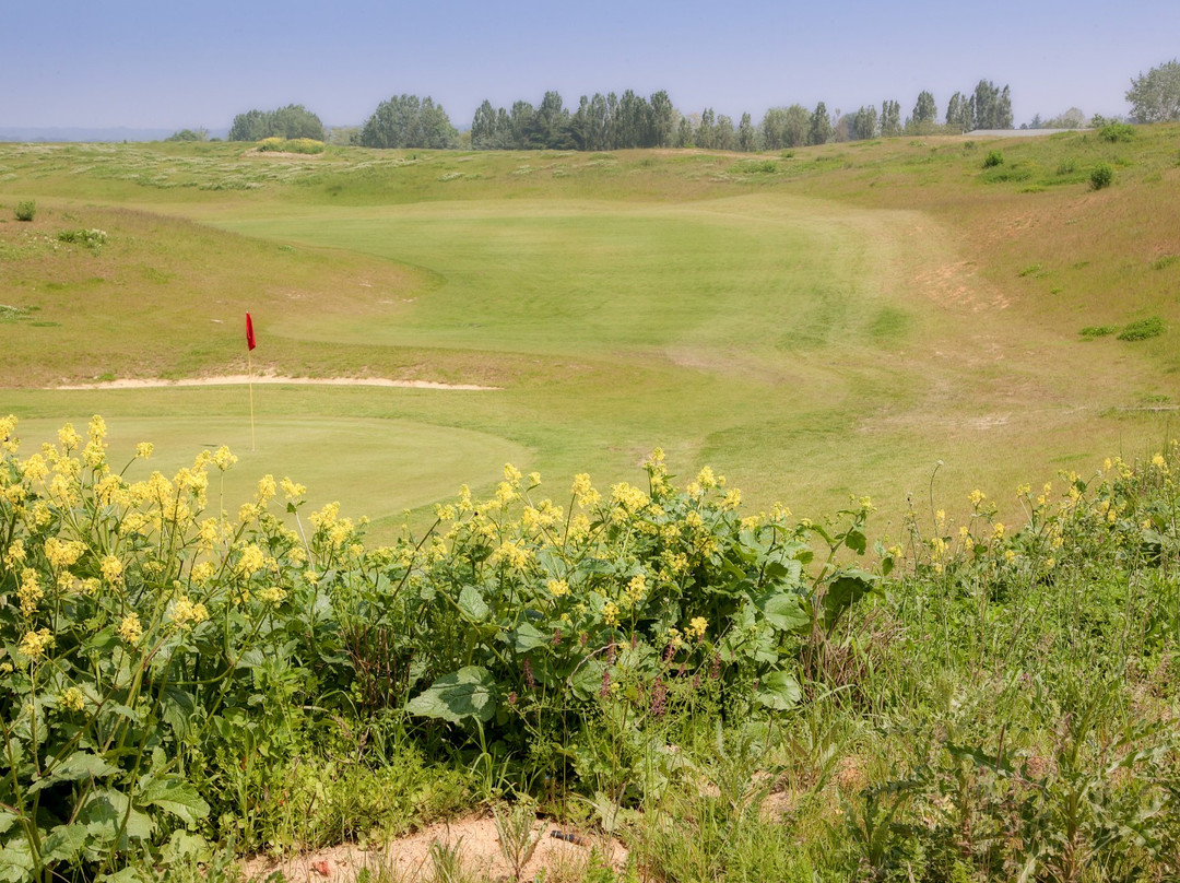 Daily Golf Buc-Toussus景点图片