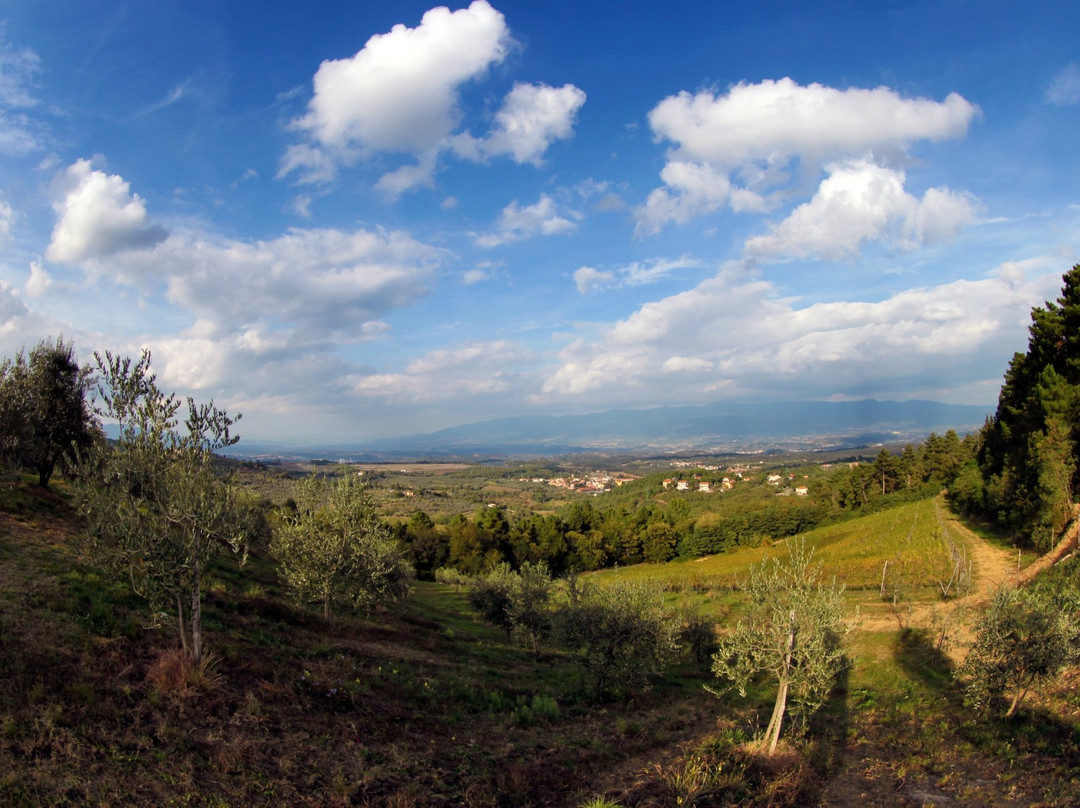 Poggi del Chianti Winery景点图片