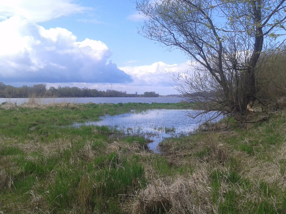 Nature Reserve Lawice Kielpinskie景点图片
