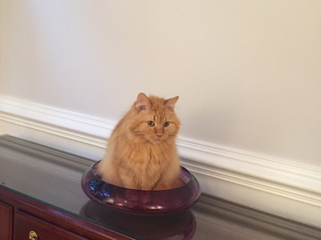 2400 Fahrenheit Art Glass-火山必去景点