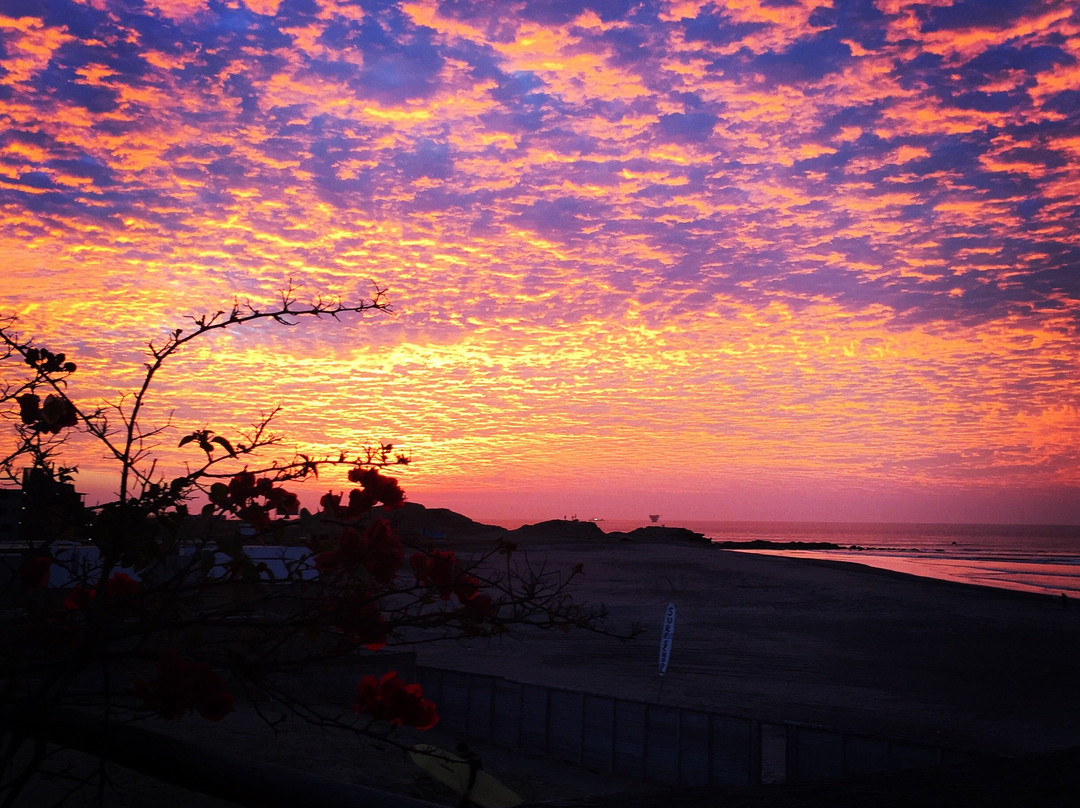 Lobitos酒店住宿-Hotel Navego