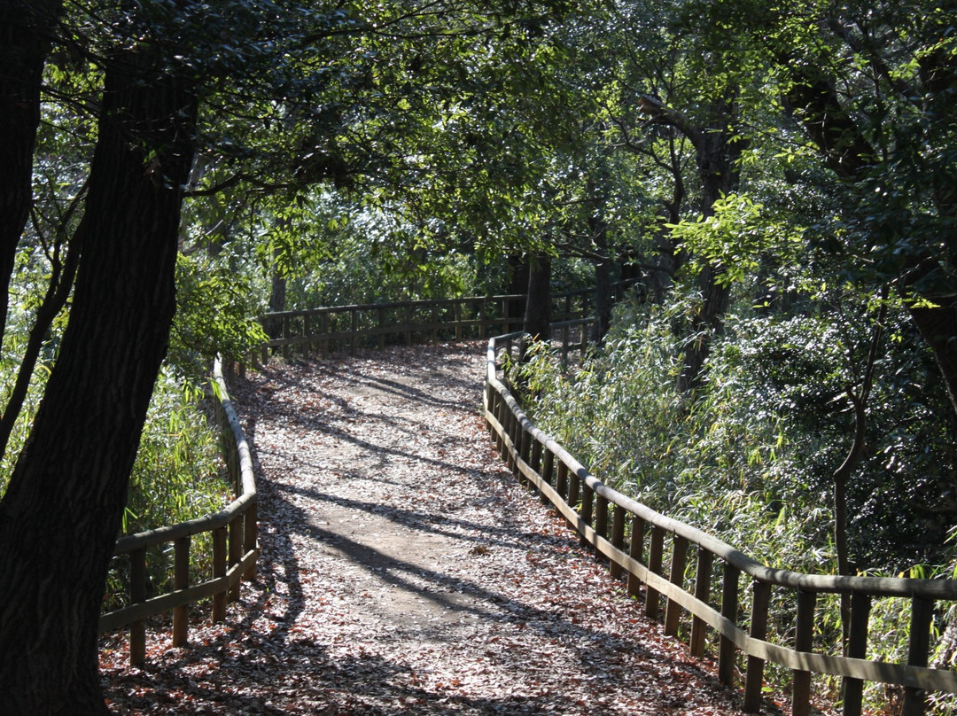 Ikuta Ryokuchi Park景点图片