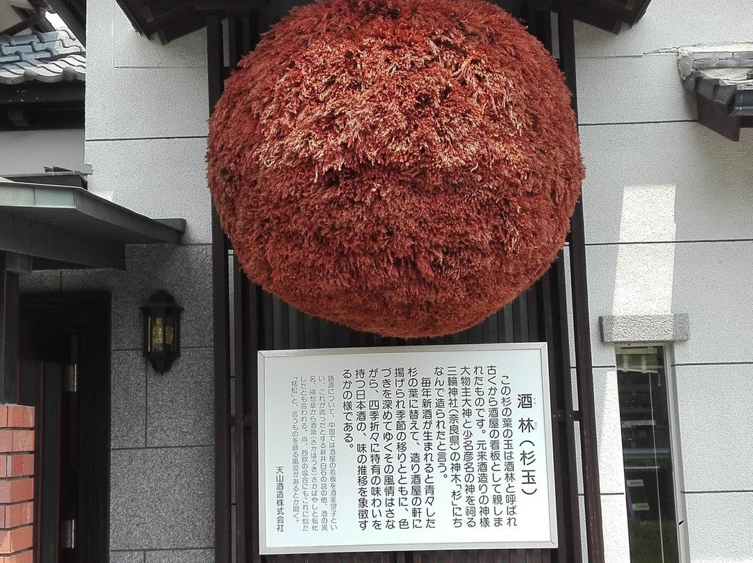 Tenzan Sake Brewery-小城市必去景点