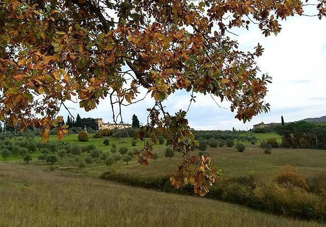 Castel Ruggero-Antella必去景点