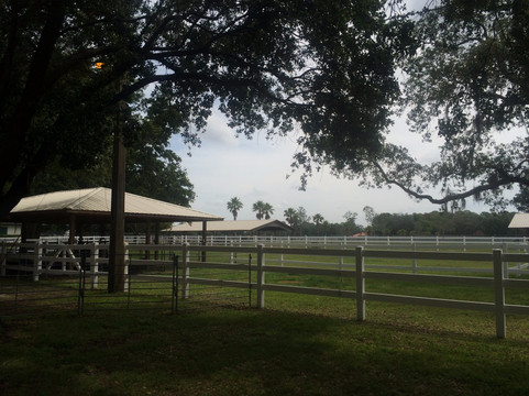 Golden Spirit Alpaca Ranch-Odessa必去景点