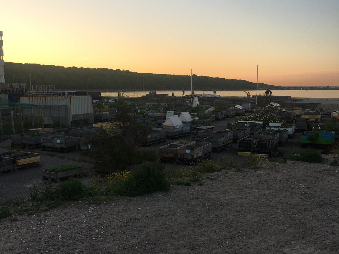 Ø-Haven-欧胡斯必去景点