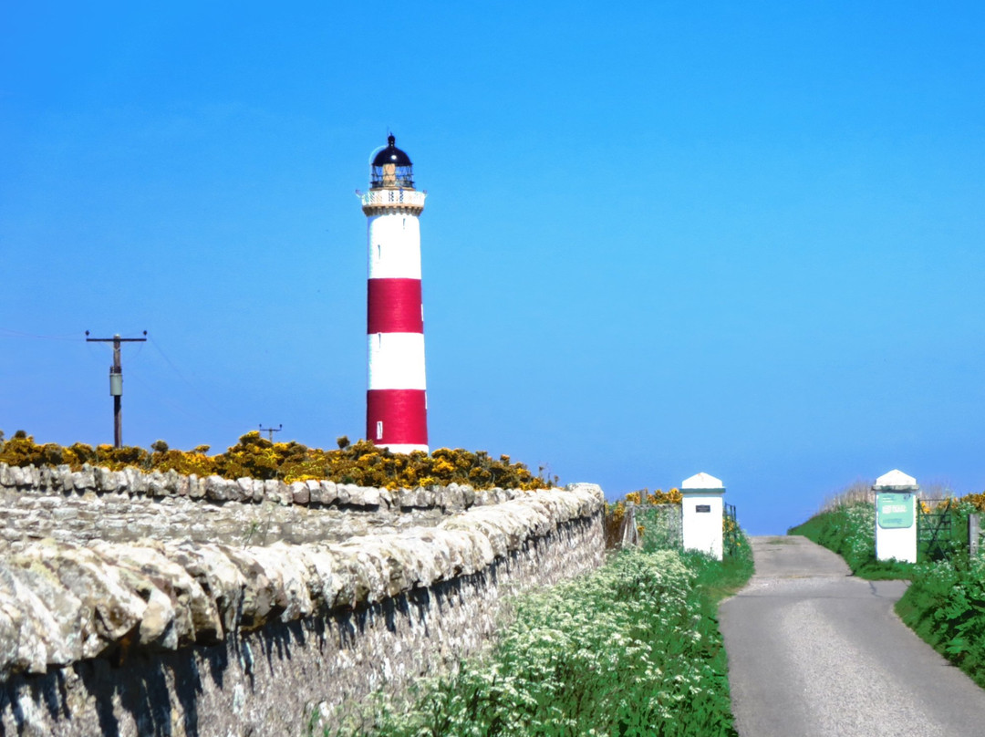 Tarbat Ness Lighthouse景点图片