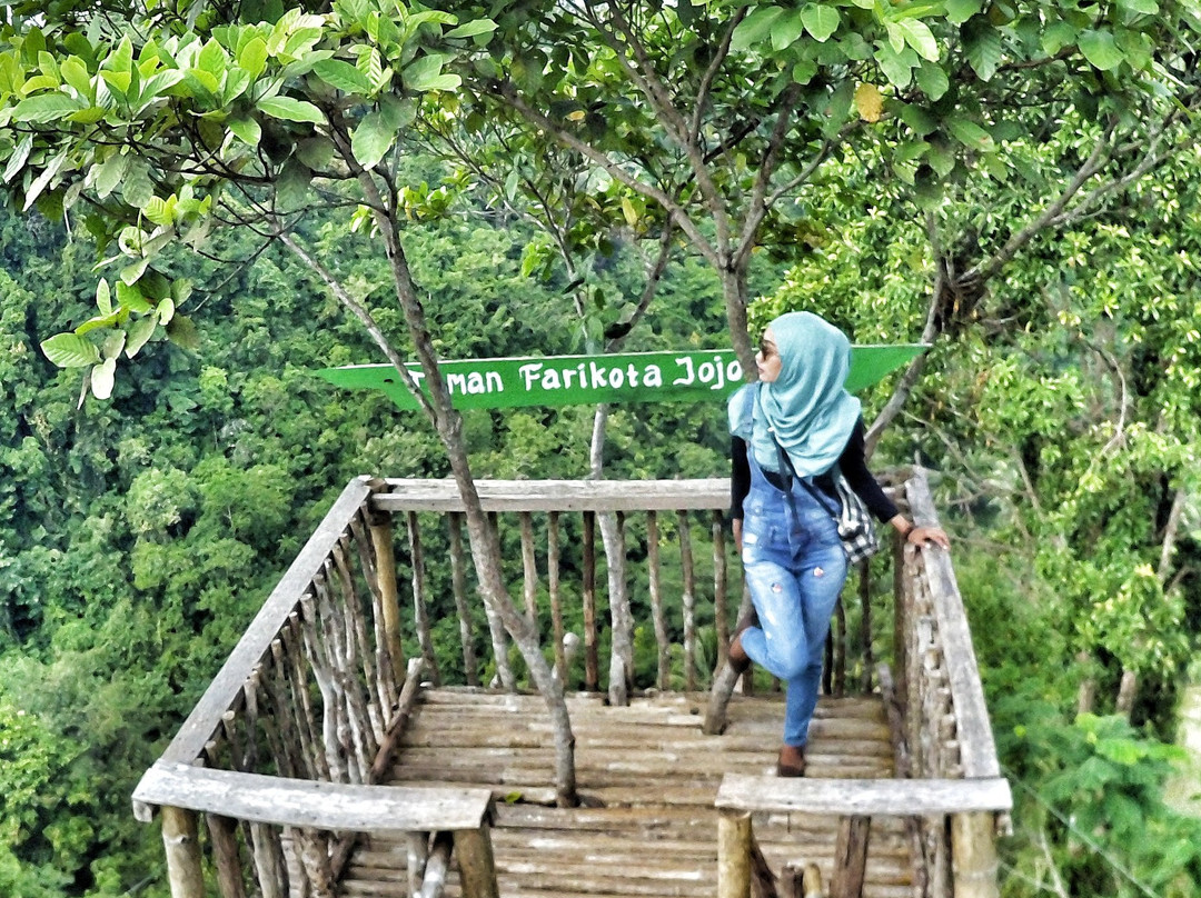 Jojogan Wonder Hill-庞岸达兰必去景点