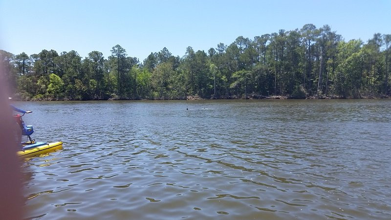 Emerald Coast Hydrobikes-圣罗萨海滩必去景点