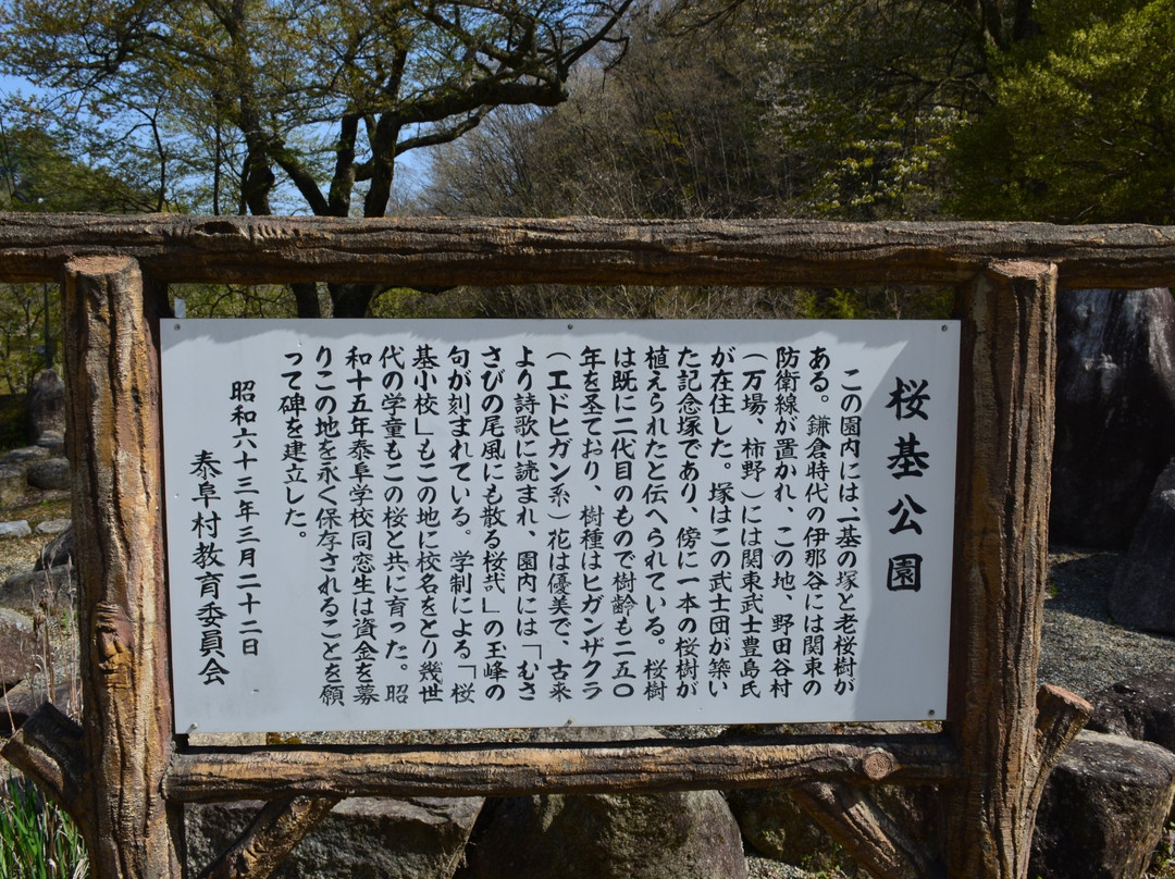Sakuramoto Park景点图片