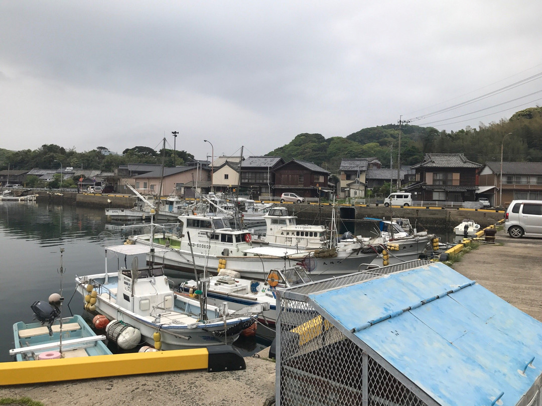 Usuka Fishing Port景点图片