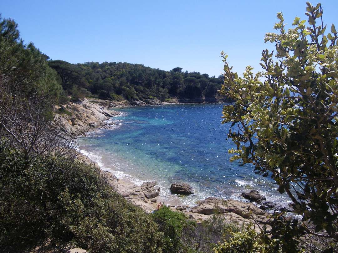 Plage de Gigaro
