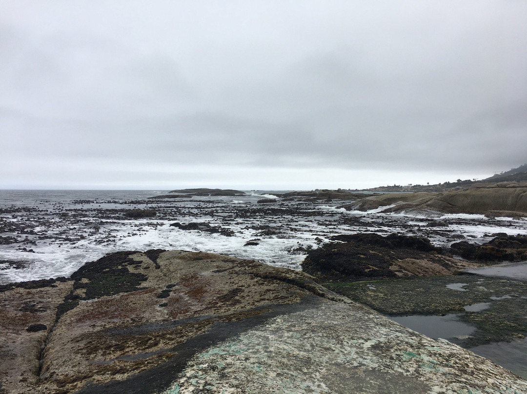 Cosy Bay Beach-Oudekraal必去景点