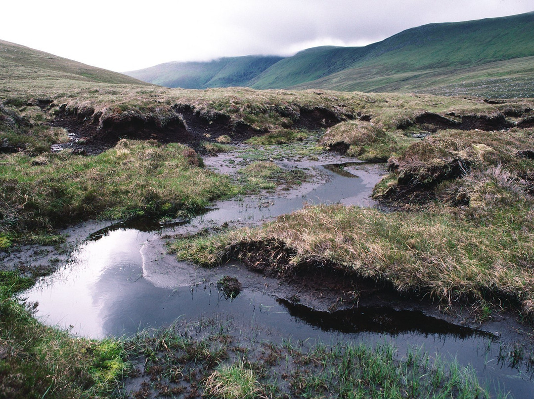 Ben Wyvis National Nature Reserve景点图片