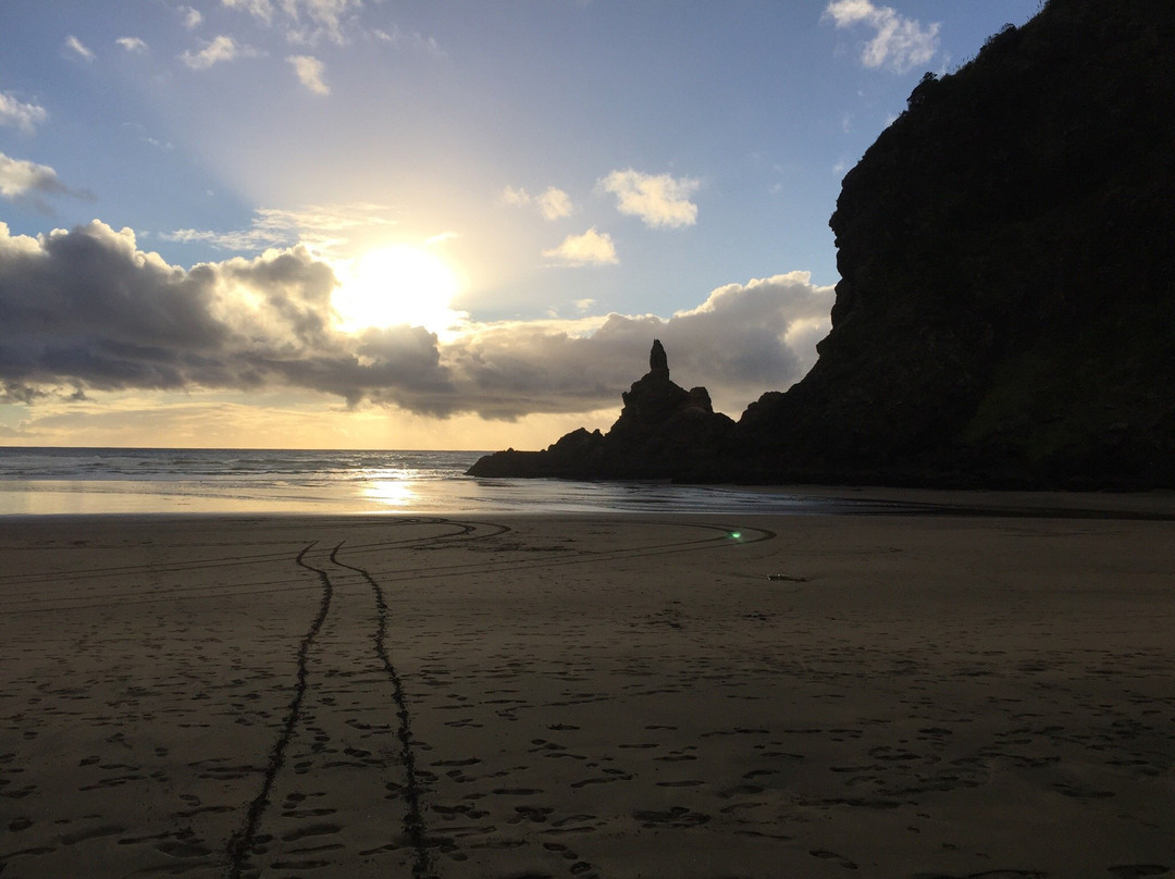 Piha Domain Motor Camp