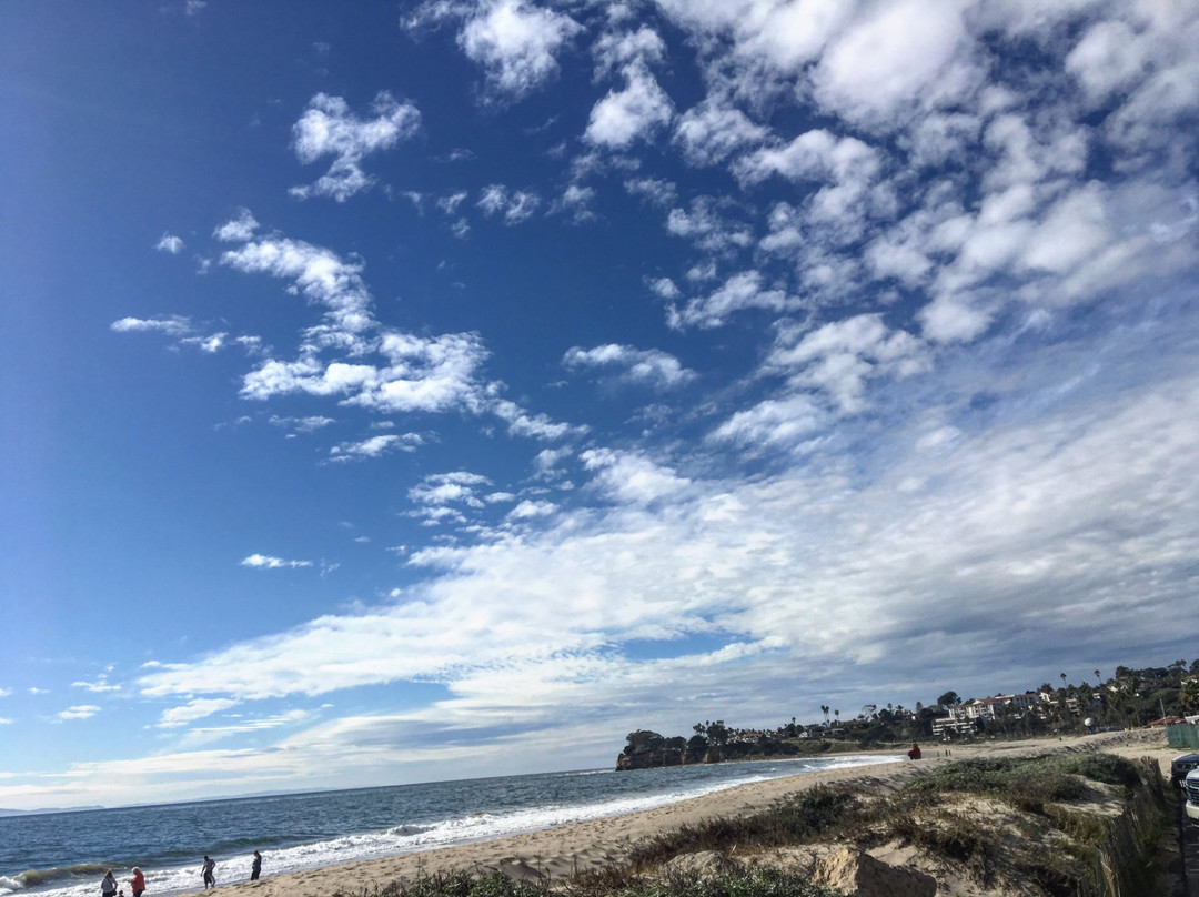 Santa Barbara Fish Market-圣巴巴拉必去景点