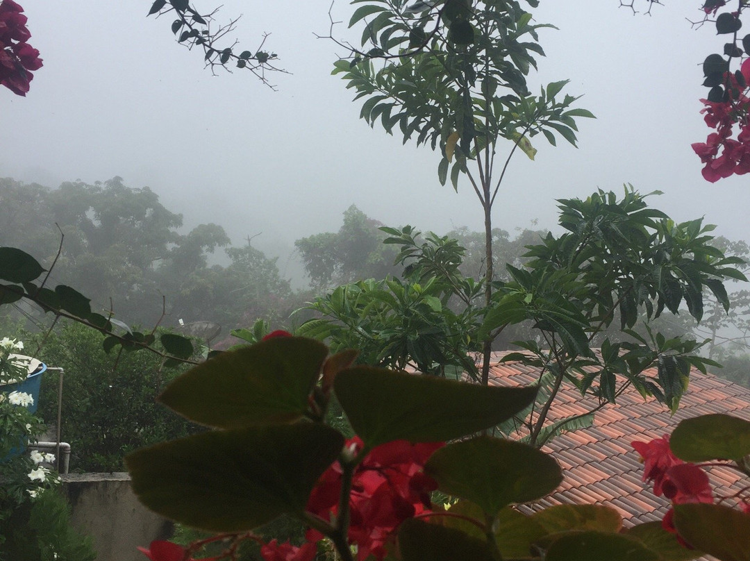 Pousada Casa da Serra主图