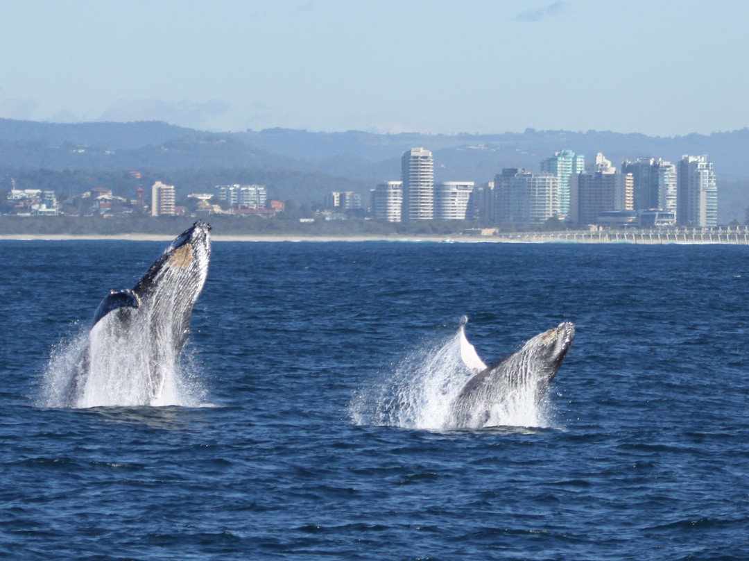 堤维德岬旅游攻略图片