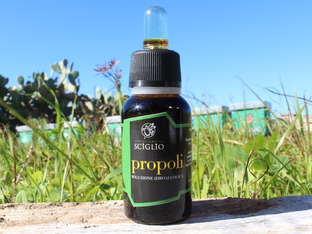 Azienda Agricola Sciglio - Le Api del Parco Paduli-Botrugno必去景点