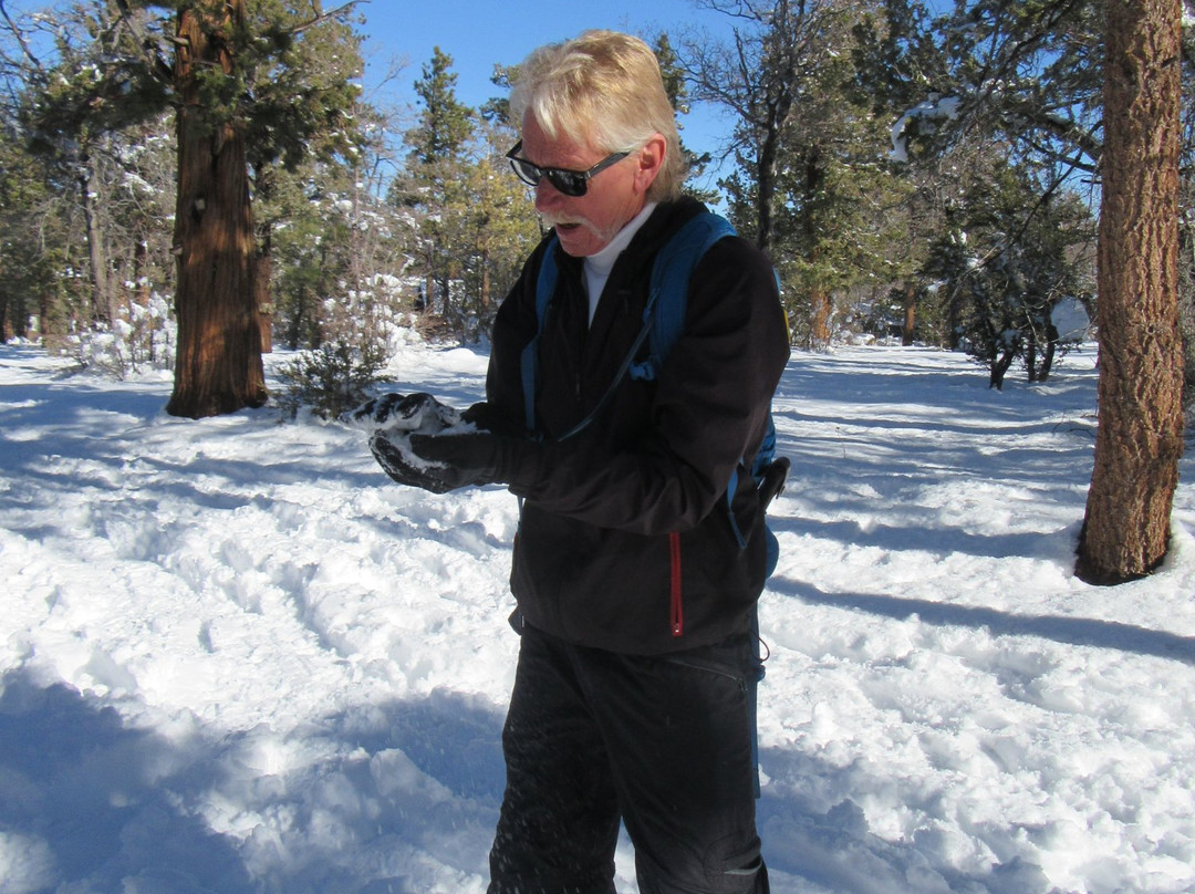 Action Zipline Tours-大熊湖必去景点