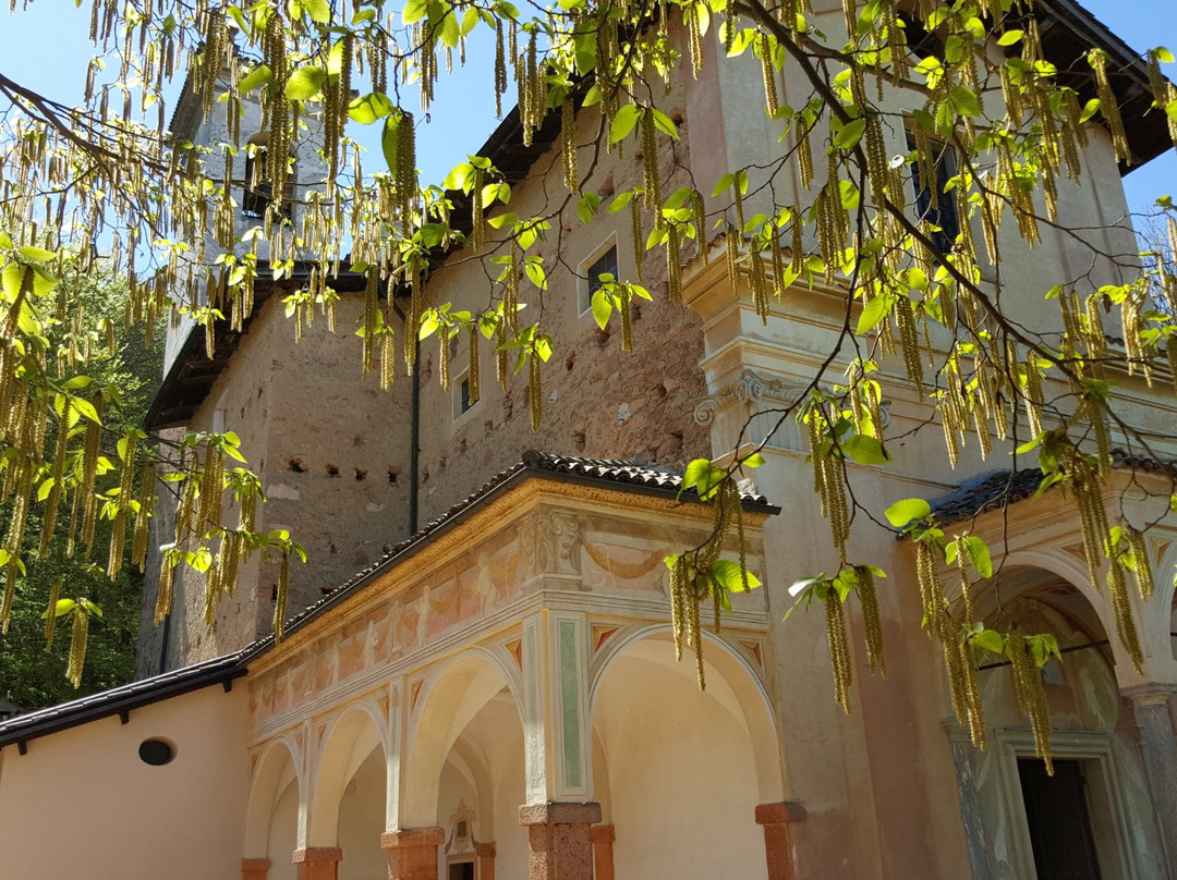 Santuario della Madonna d'Ongero景点图片