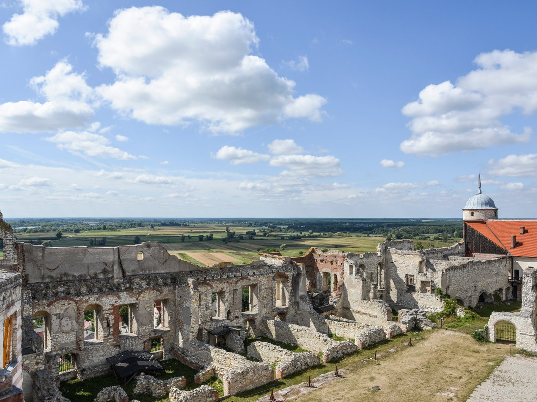 Janowiec Castle景点图片