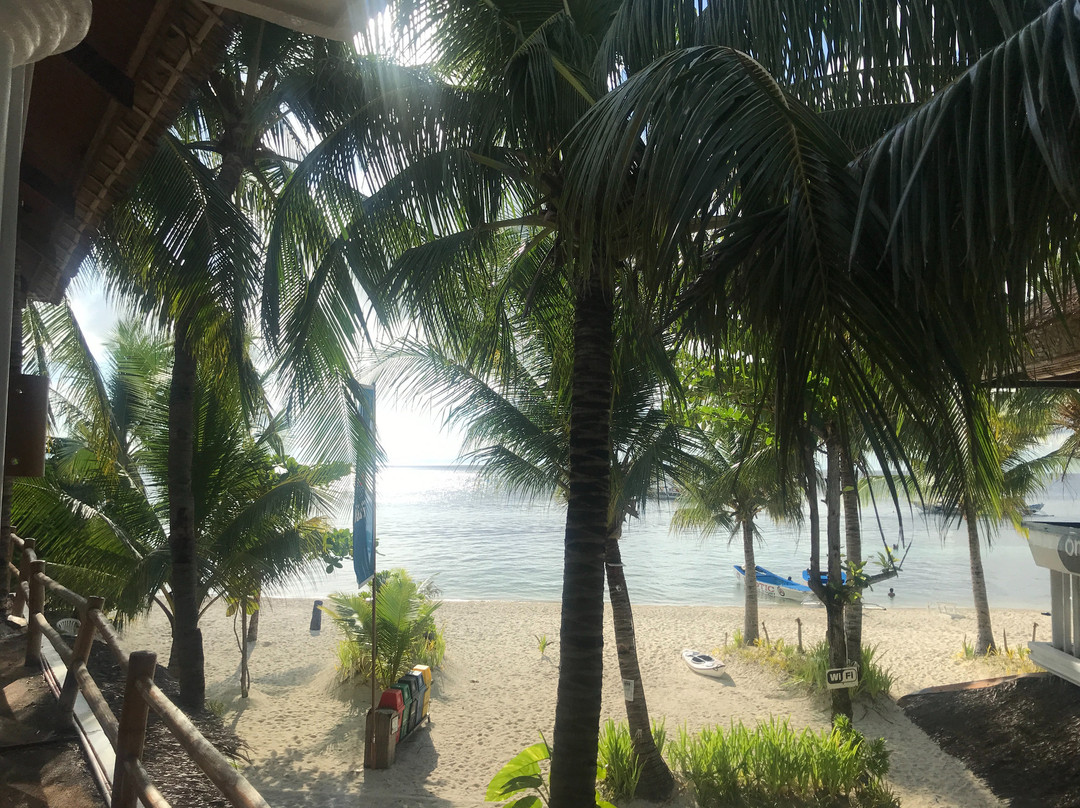 Malapascua Exotic Diving Center景点图片