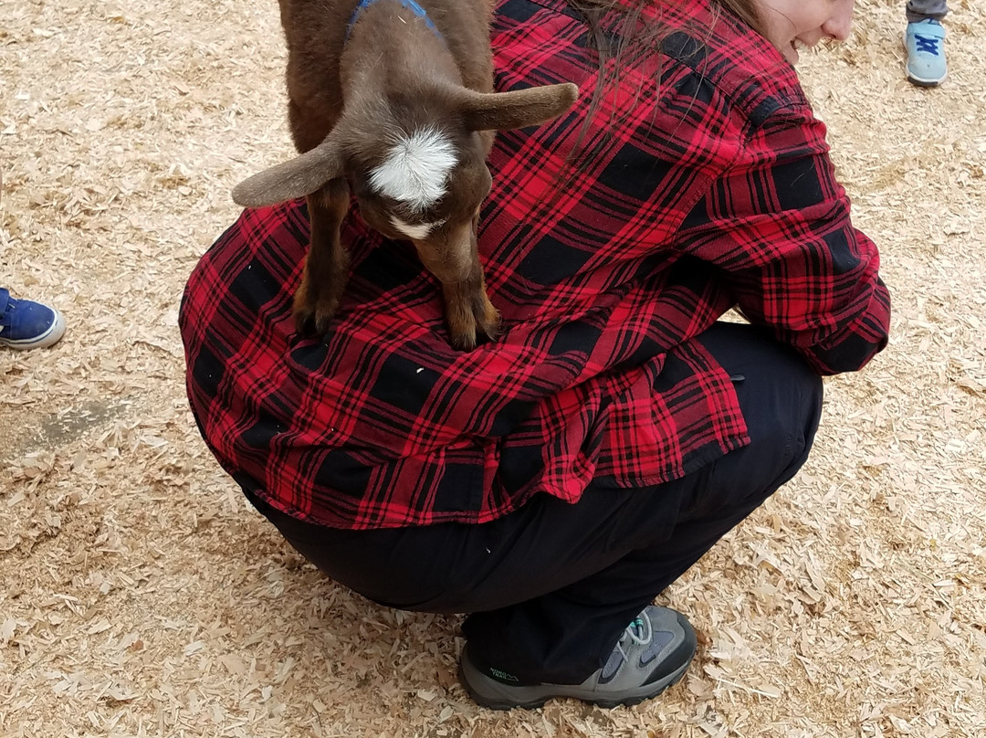 Beacon Hill Children's Farm-维多利亚必去景点