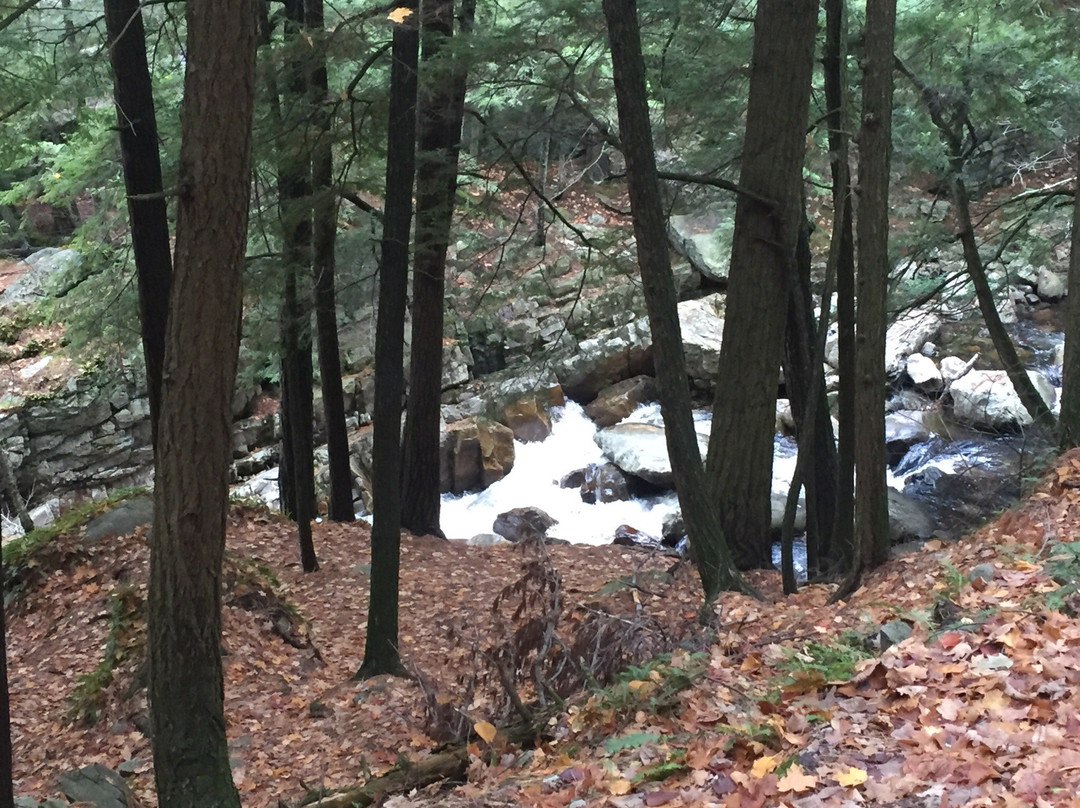 Branbury State Park-Salisbury必去景点