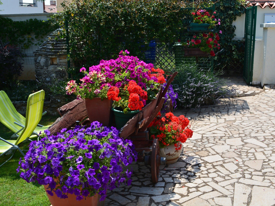 Apartements Bizjak主图