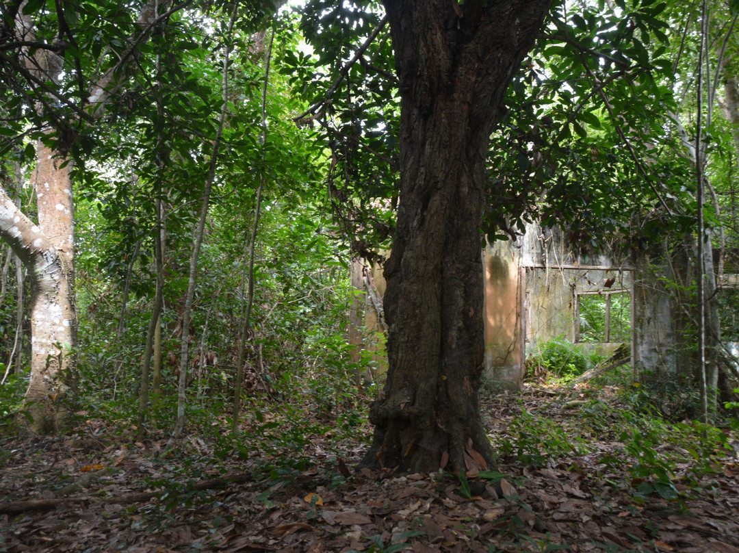Assagny National Park景点图片