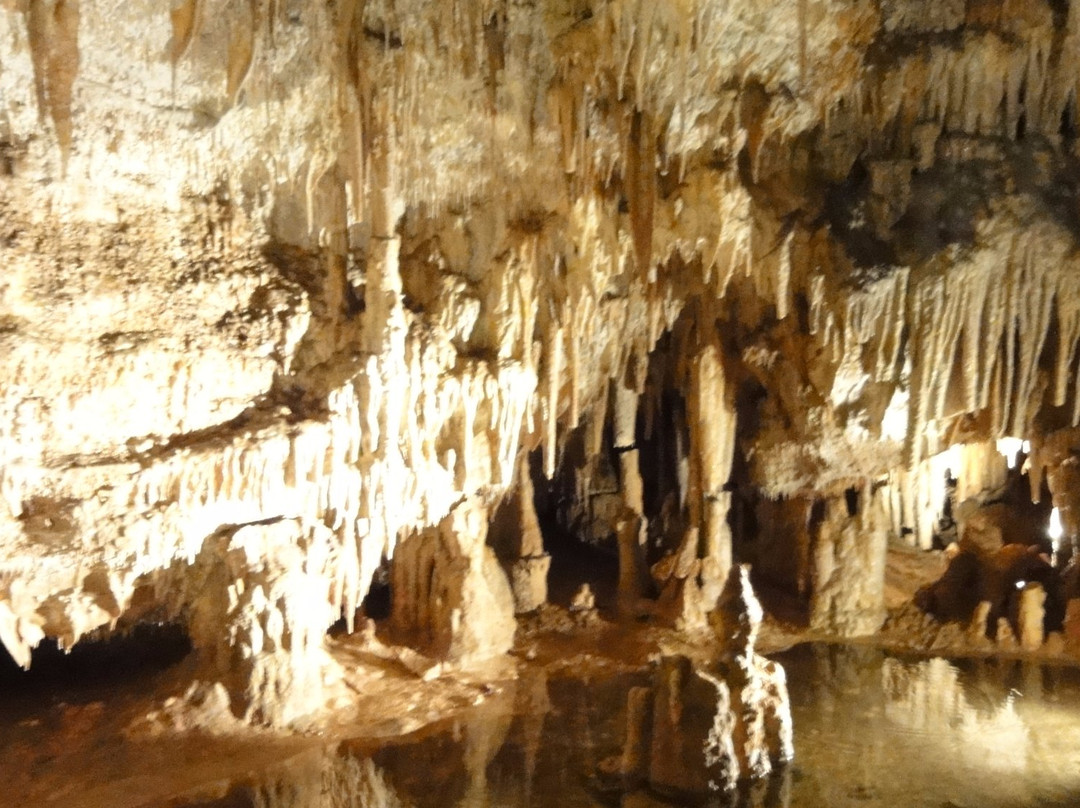 La Grotte De Domme景点图片