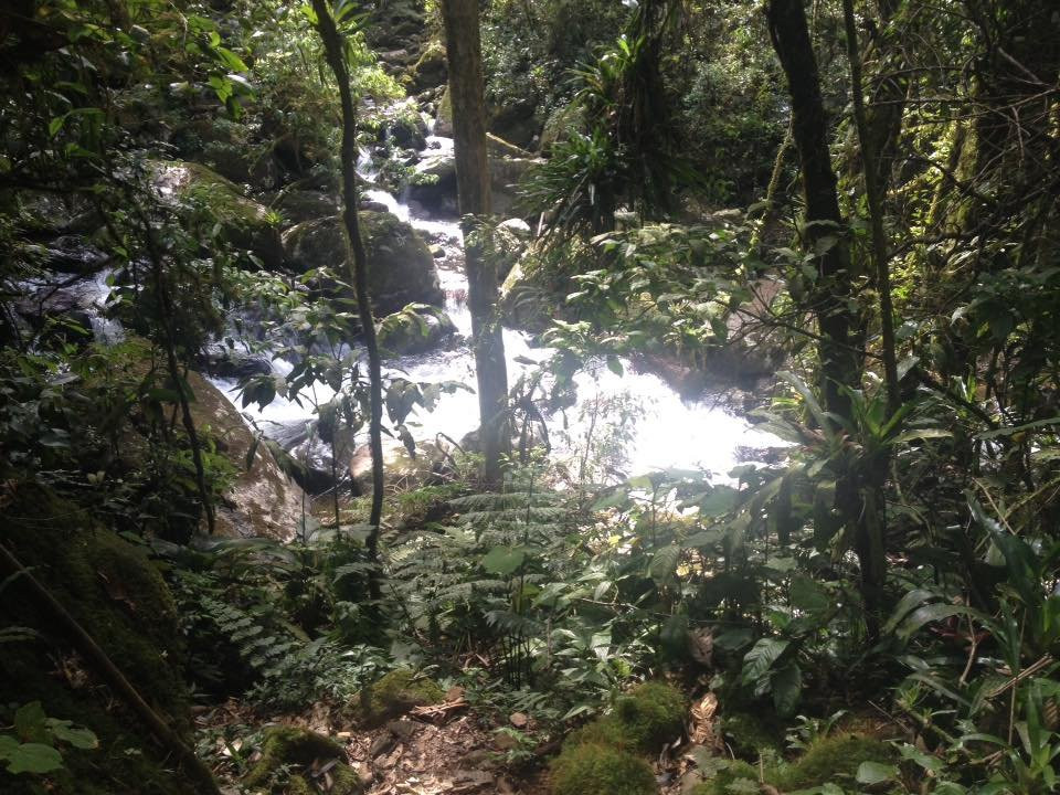 Parque Estadual do Pau Oco景点图片