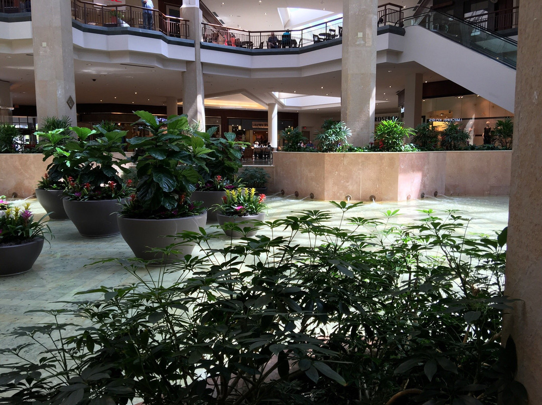 St. Louis Galleria景点图片