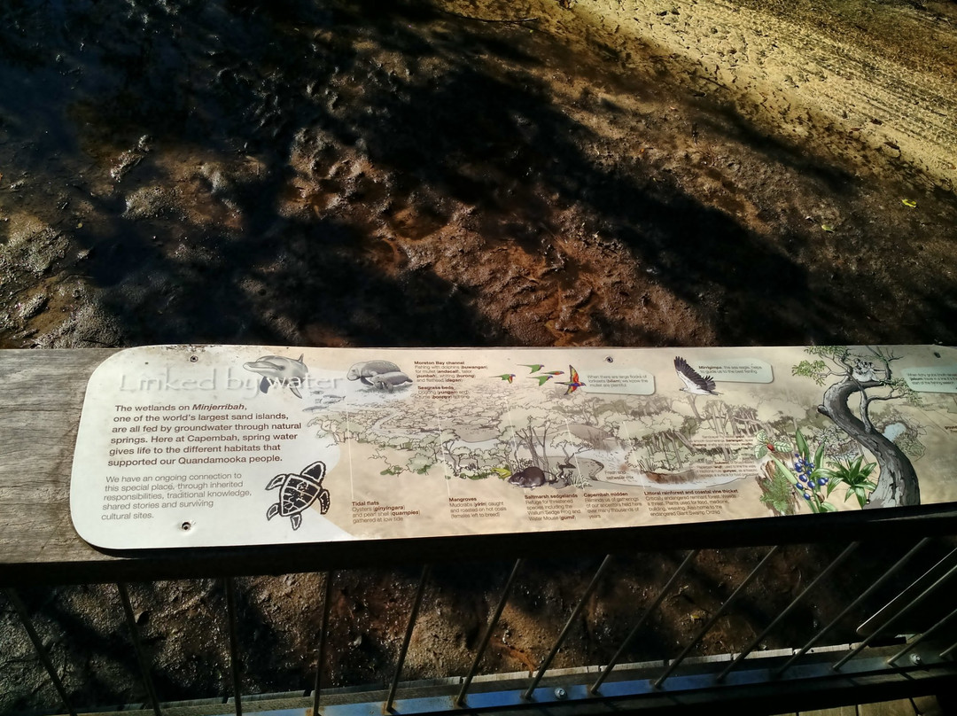 Myora Springs Conservation Area-North Stradbroke Island必去景点