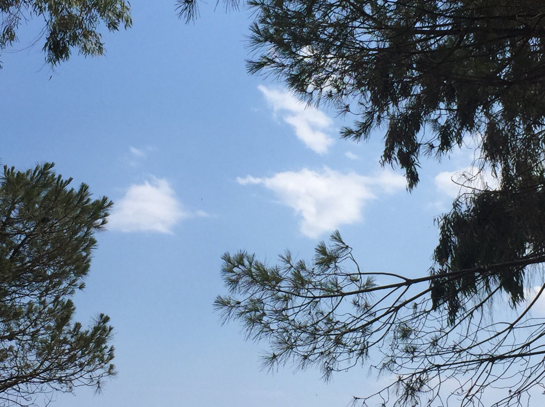 Ocean Pub-Gytheio必去景点