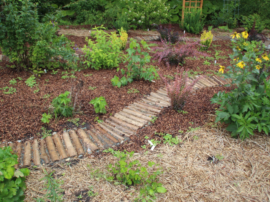 Gorno-Altaisk Botanical Garden景点图片
