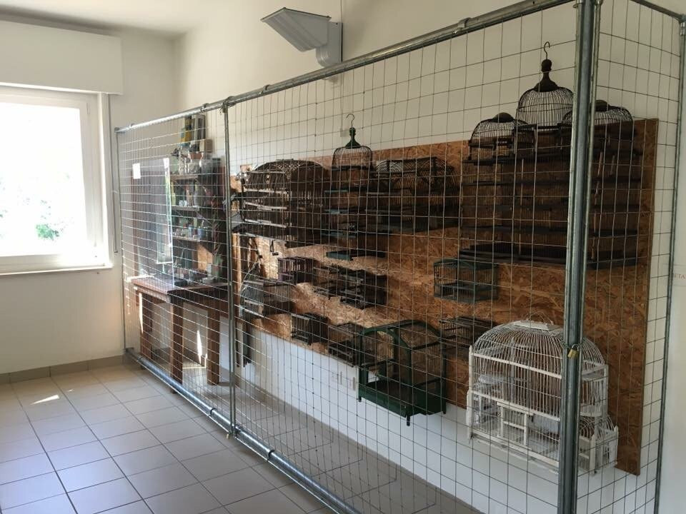 Sisan Museo Sisan delle Tradizioni Ornitologiche景点图片