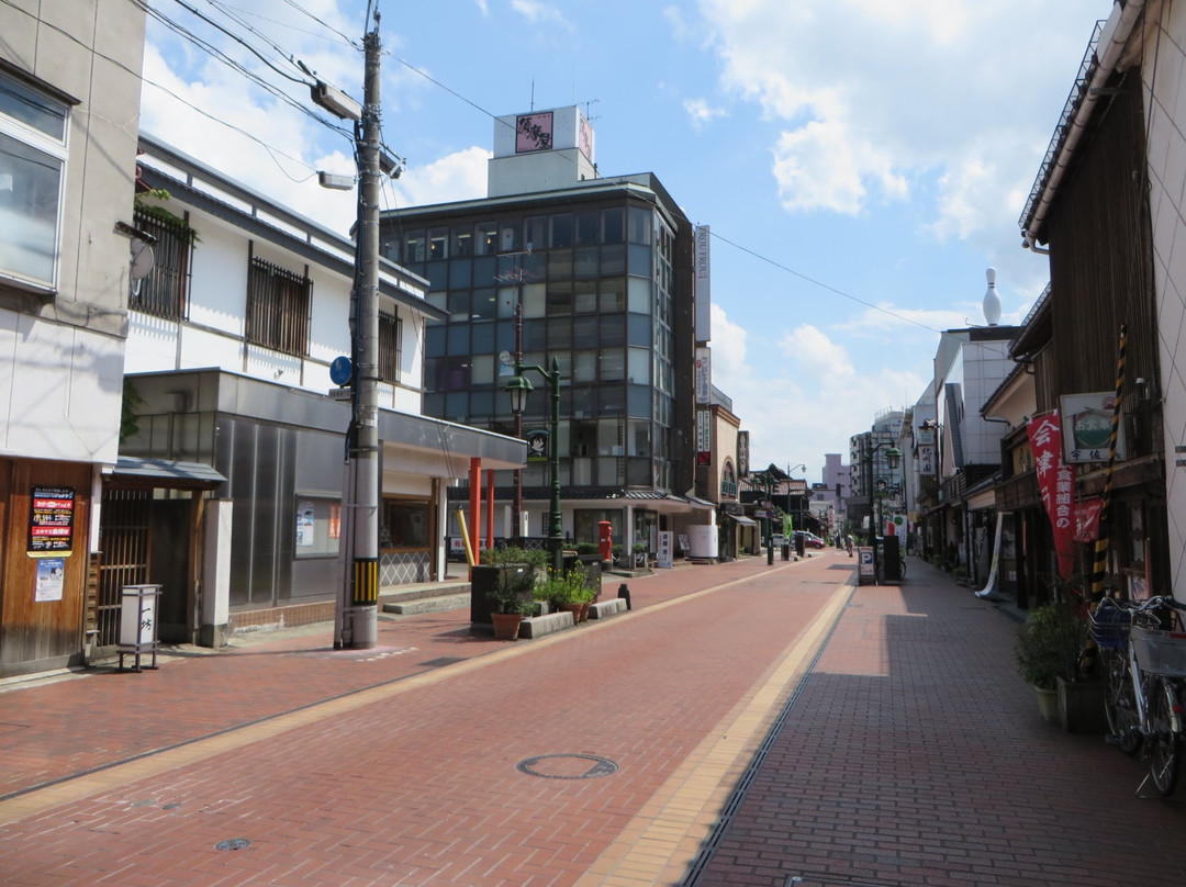 Noguchi Hideyo Seishun Street景点图片